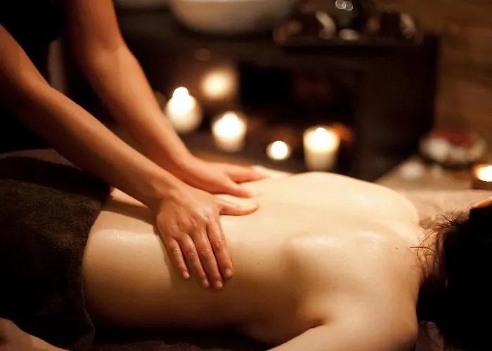 ライオン サニー ビーチ