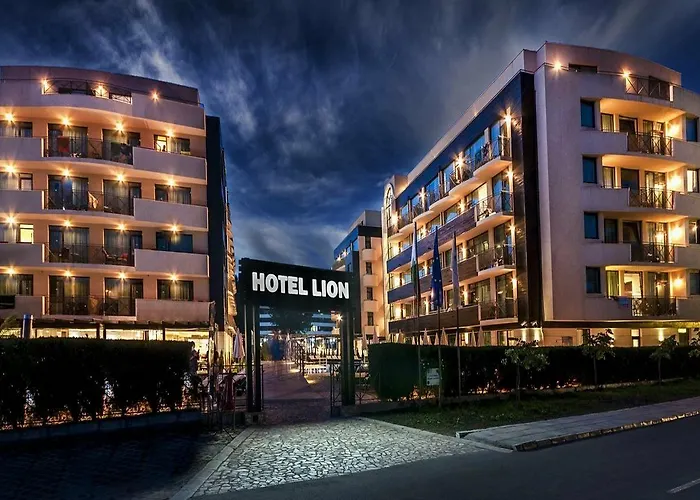 ライオン サニー ビーチ