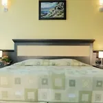 Lion Sunny Hotel