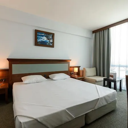 Lion Sunny ساني بيتش