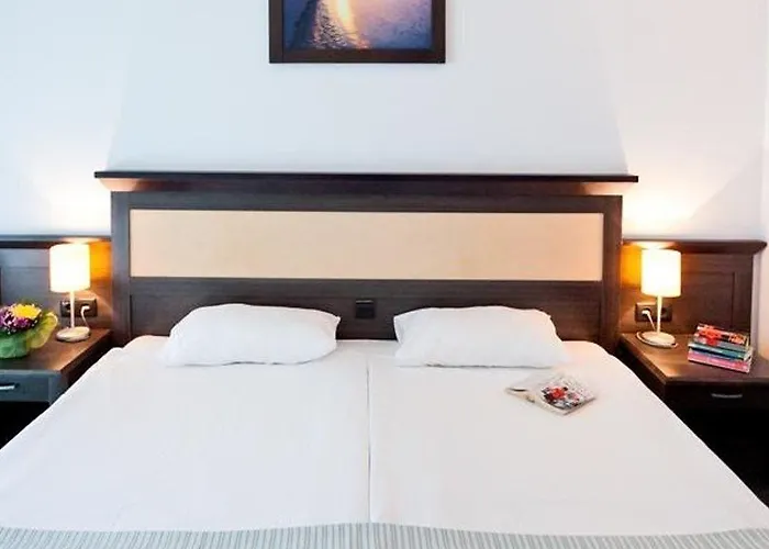 Lion Sunny فندق 4*