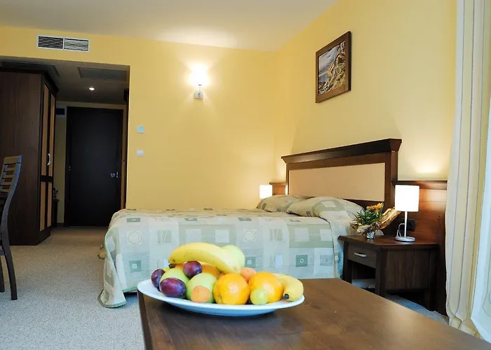 Hotel Lion Sunny Slantschew brjag