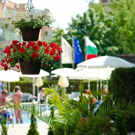 Hotel Lion Sunny 4*