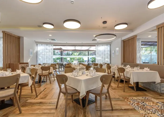 Lion Sunny Отель Солнечный берег