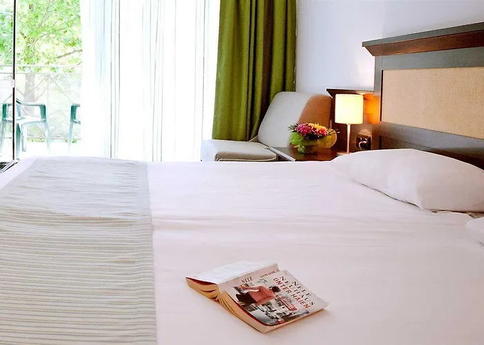 Отель Lion Sunny