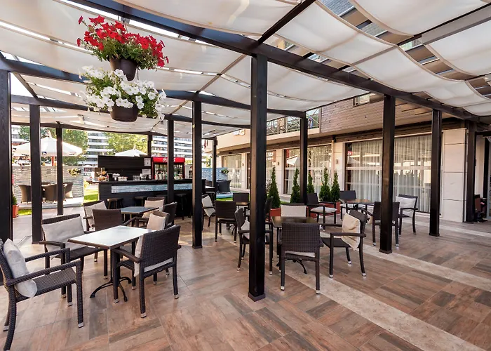 Lion Sunny Солнечный берег